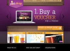 Voucher offer: the deal on the Pint Drop website