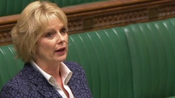 Lib Dem MP Greg Mulholland previously accused business minister Anna Soubry of 'losing control of her brief' 
