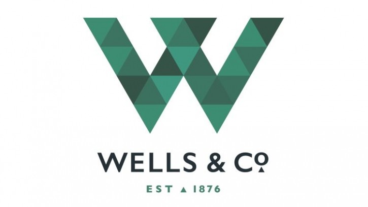 Financial report: Wells & Co highlights a strong financial performance in its 2023 update