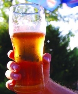Transpennine real ale trail lager ban 