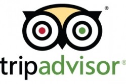 TripAdvisor has come in for criticism by pub owners recently