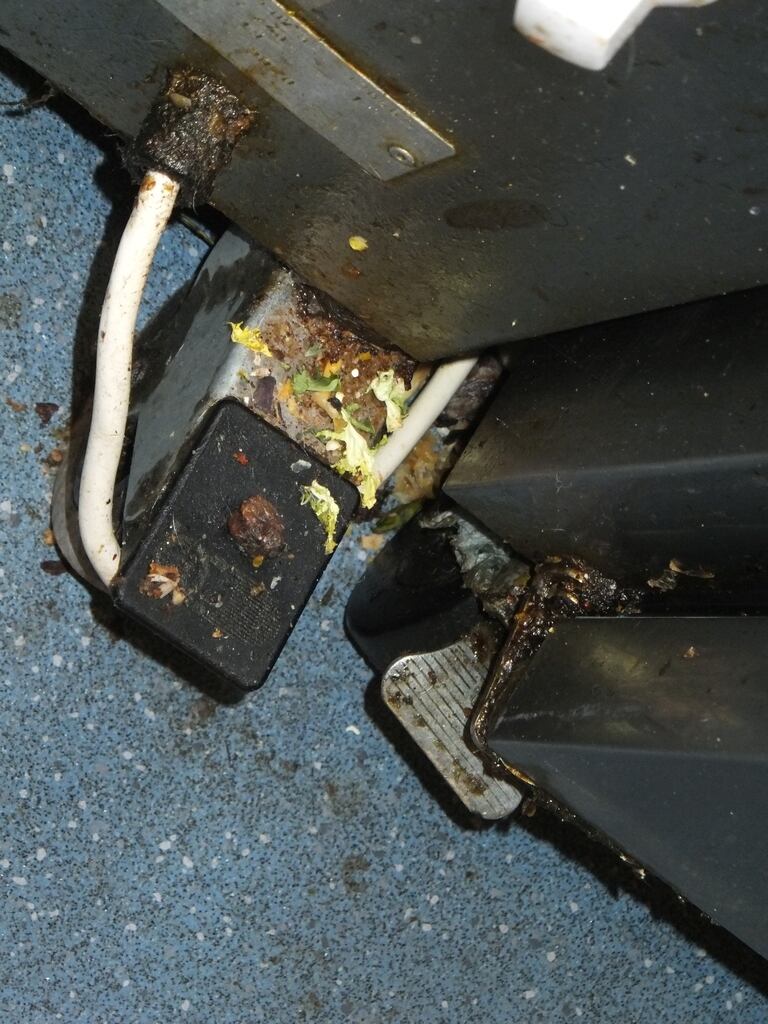 DSCF2190.jpg
