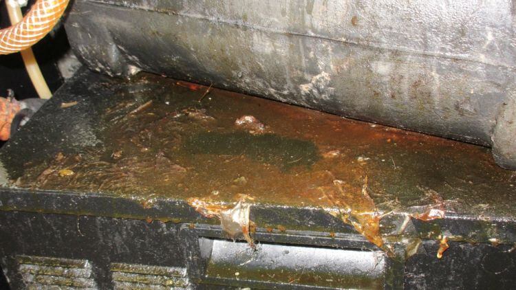 Pub's £17k bill for ‘unacceptable’ food hygiene failings