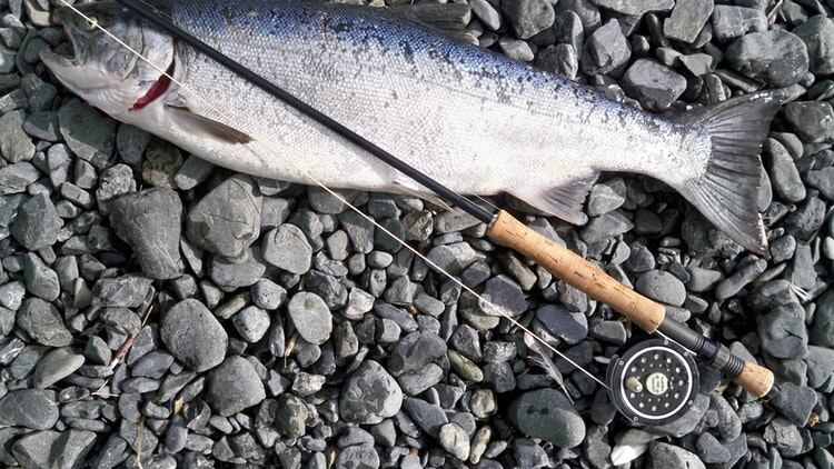 Food prices continue to soar, driven by rising fish prices