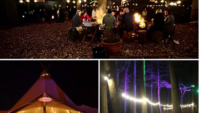 Pub-in-the-Woods-open-for-pub-and-nature-lovers.jpg