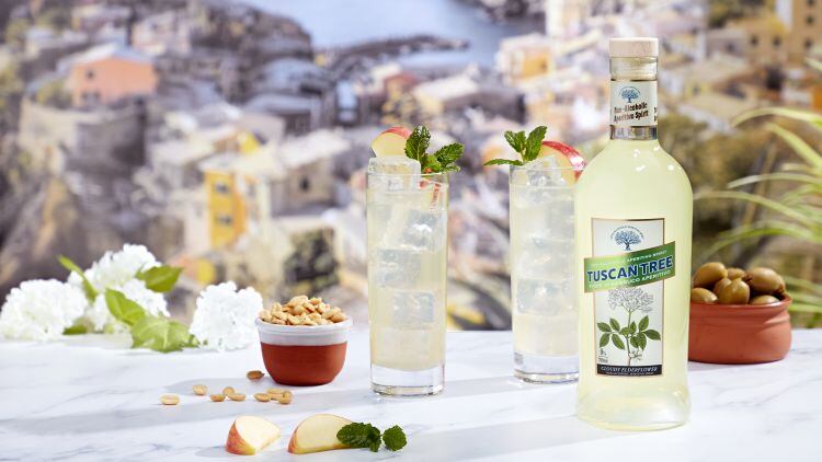 RESIZEDTuscan.Tree.Cloudy.Elderflower.lifestyle.shot.jpg