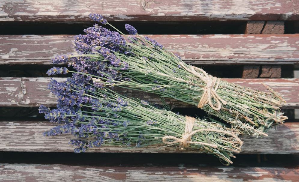 Lavender.jpg