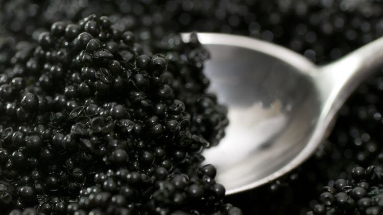 Imports of Russian caviar banned under new UK sanctions