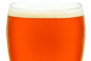 Beer.jpg