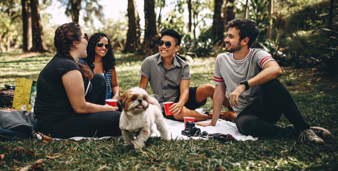 Millennials ‘pressured’ into drinking, research claims
