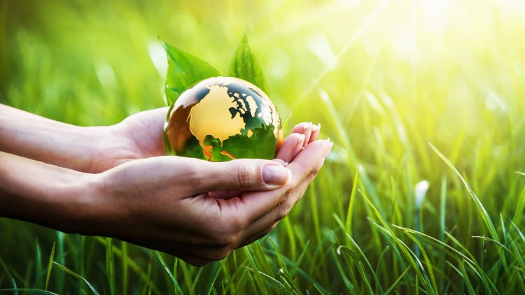 How are pub companies focusing on sustainability?
