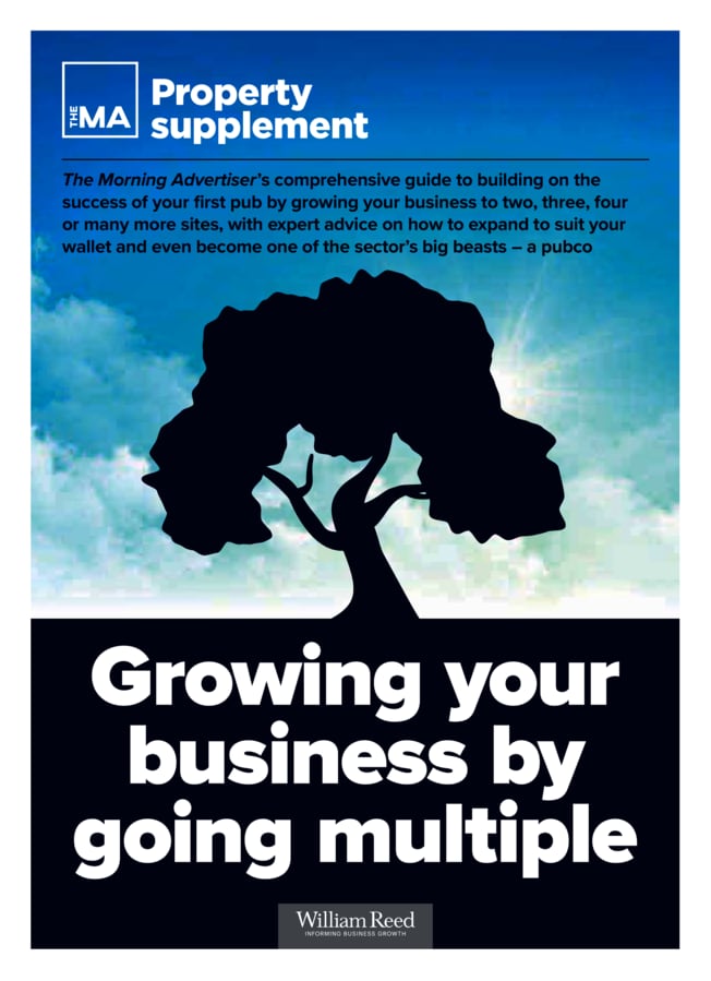 Growing Your Business By Going Multiple