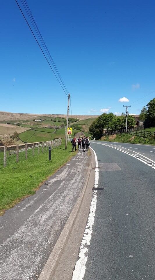 walk5.jpg