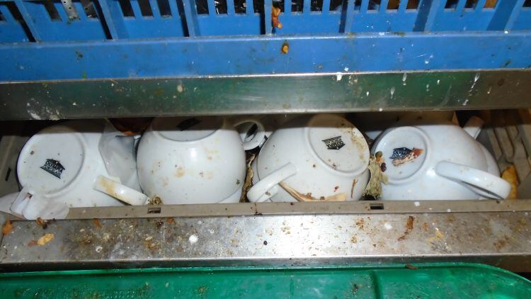 Pub slapped with £6.7k bill for ‘flies, filthy cloths and mouldy food’