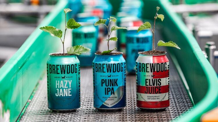 BrewDog-Environment.jpg