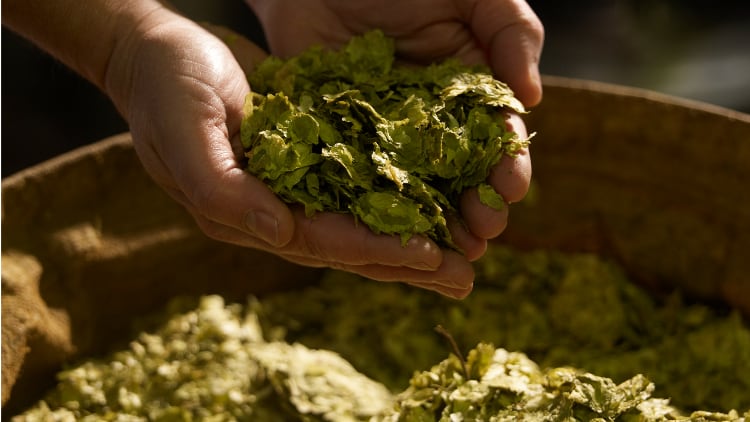 Craft breweries going bust rises threefold
