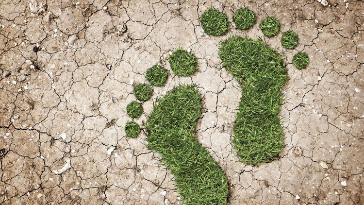Hospitality and brewing industry launch Carbon Toolkit to cut carbon 