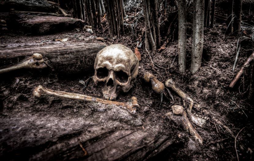Spooky-bones.jpg