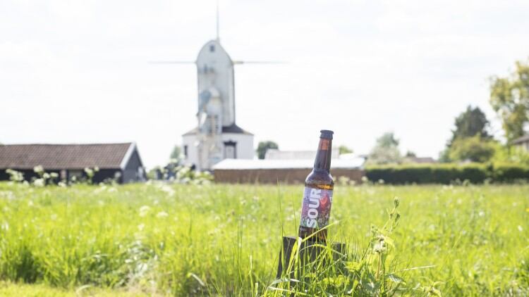 Big-Drop-Brewing-Co-launches-low-ABV-sour-beer_wrbm_large.jpg