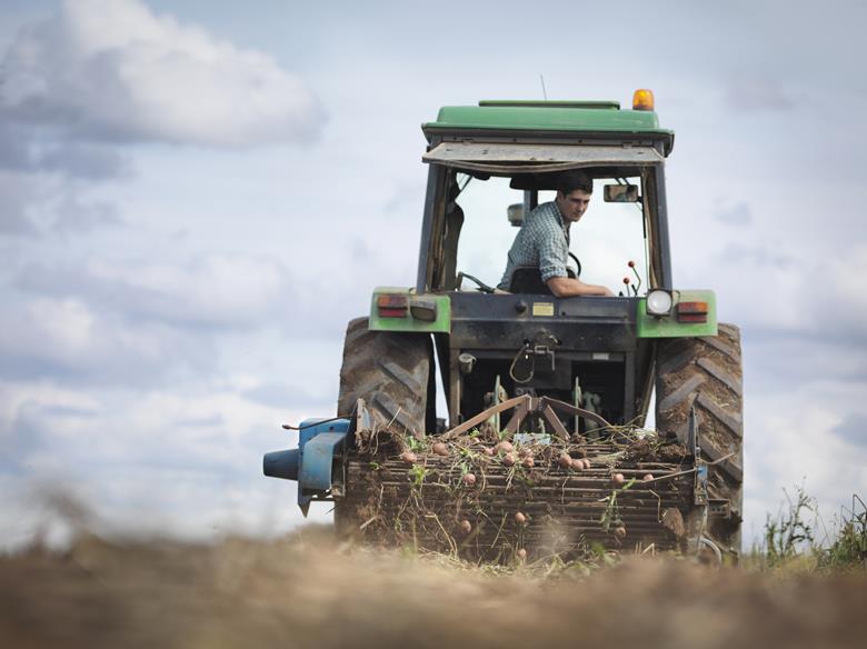 Climate change: Set to drive food price and supply volatility