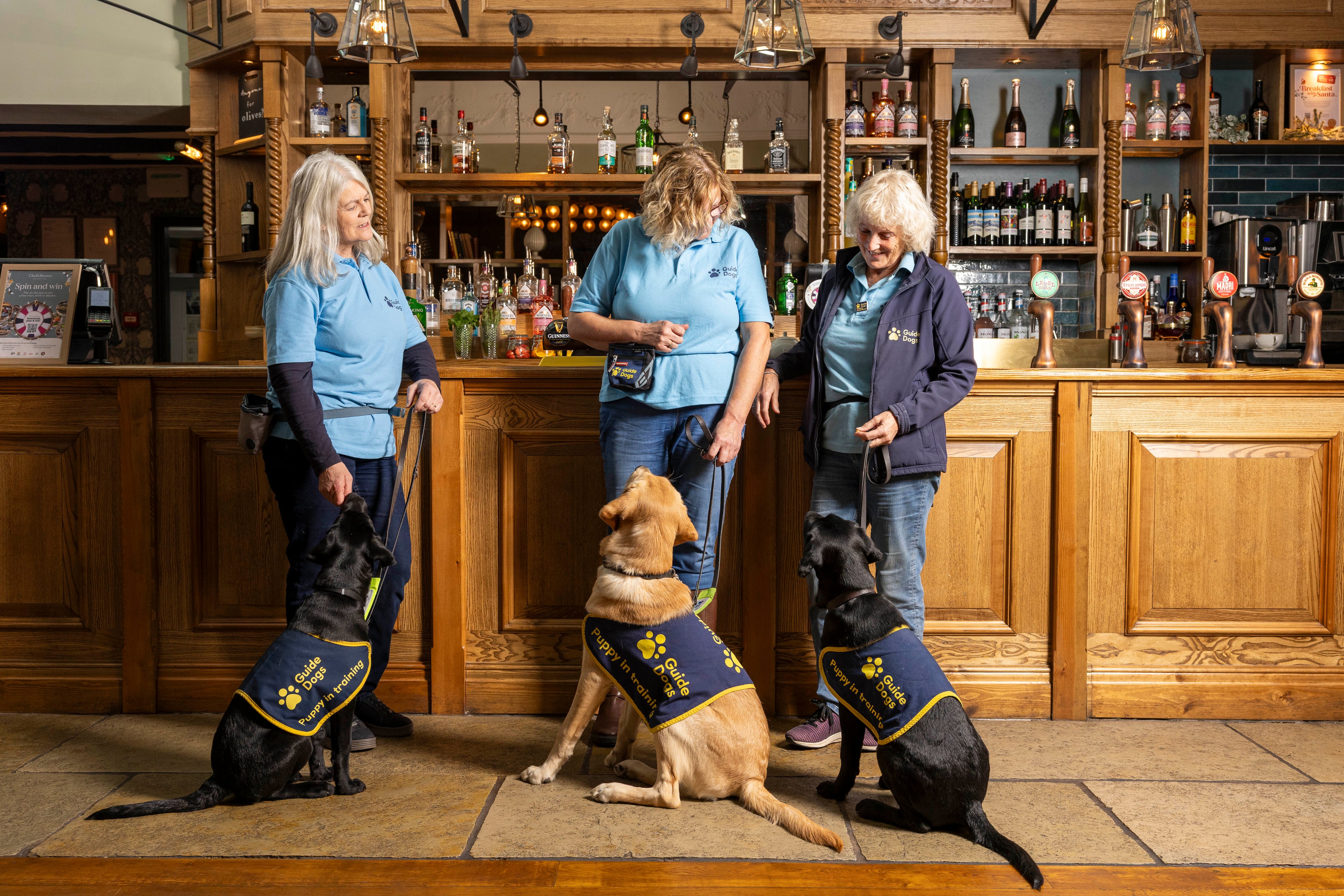 GOOD NEWS: Chef & Brewer partners with Guide Dogs to launch ‘Puppy Hour’