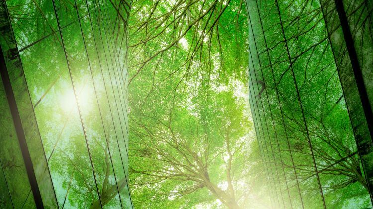 ‘Hospitality firms sit at centre of sustainability challenge’