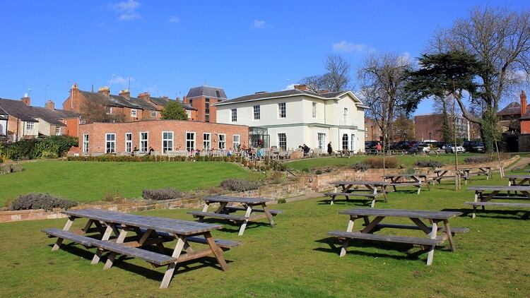 Pub openings boost TRG sales