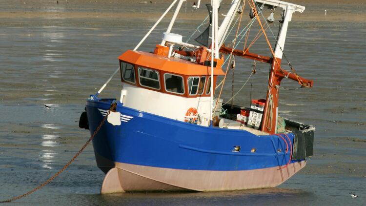 Essex-3.jpg