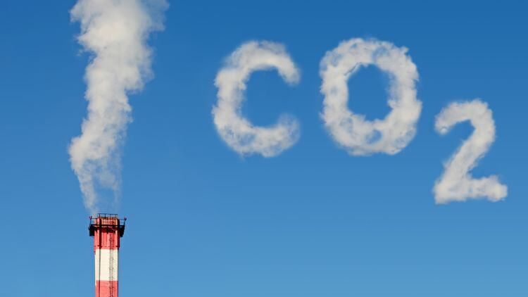 Gov to step in to help solve CO2 crisis