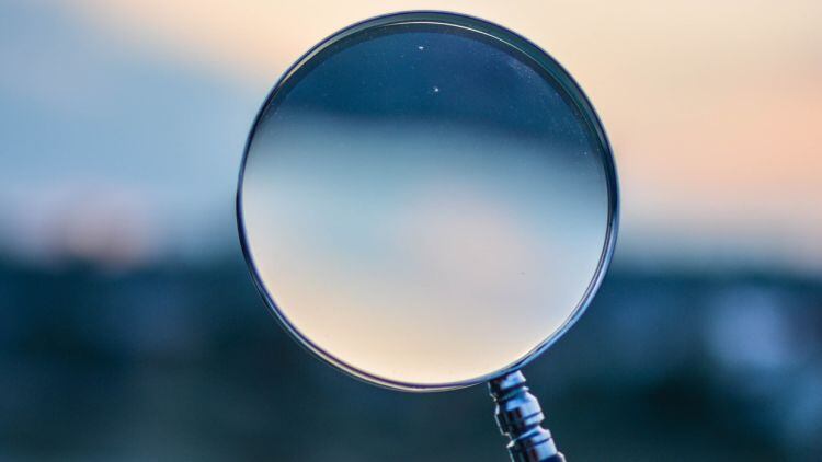 Review needed for Government ‘evidence’ on trade transmission risk