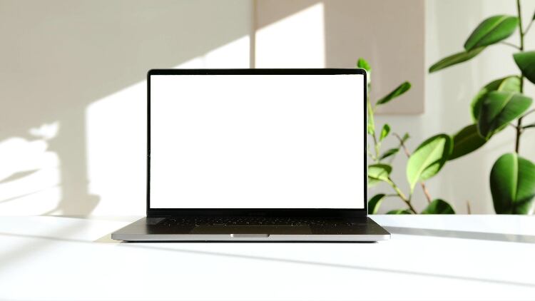 MA500 May 2021 agenda unveiled