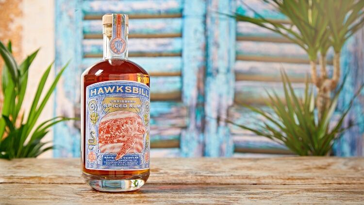 Hawksbill.jpg