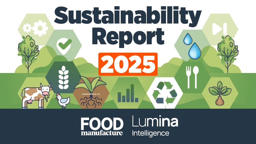 The Sustainability Report 2025