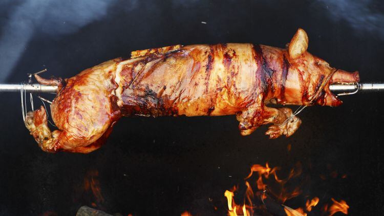 How-can-pubs-profit-from-the-low-cost-of-pigs.jpg