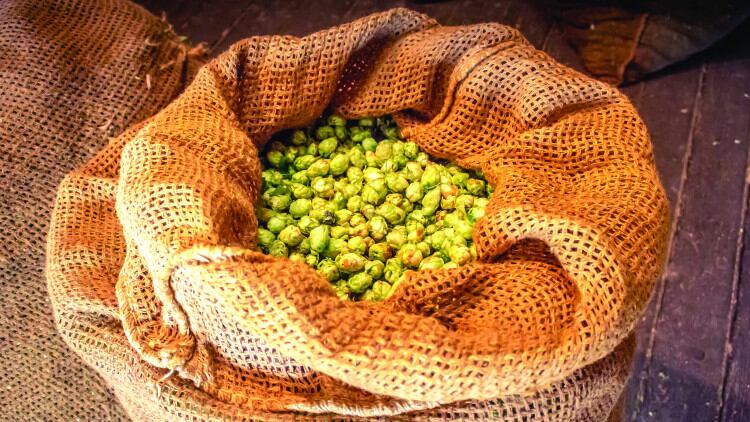 hops.in.sack-1.jpg