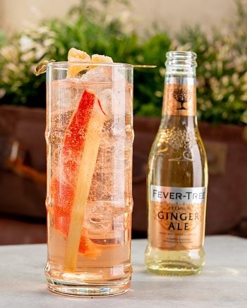 Rhubarb-gin-and-ginger-ale.jpg