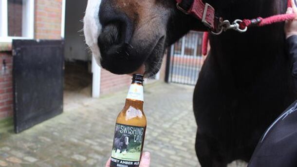 horsebeer.jpg