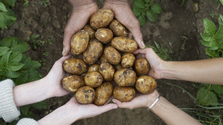British cuisine and sustainability top food and drink trends for 2022