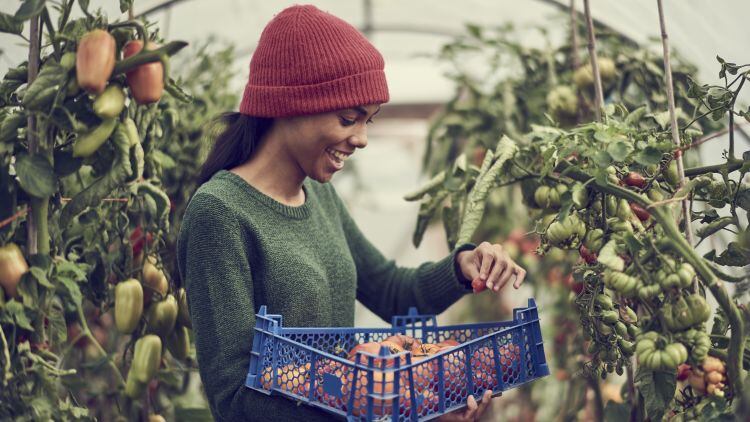Fresho-helps-make-UK-food-supply-chains-more-sustainable.jpg