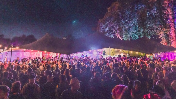 We_Out_Here_Festival-optimized.jpg