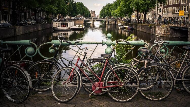Netherlands.jpg