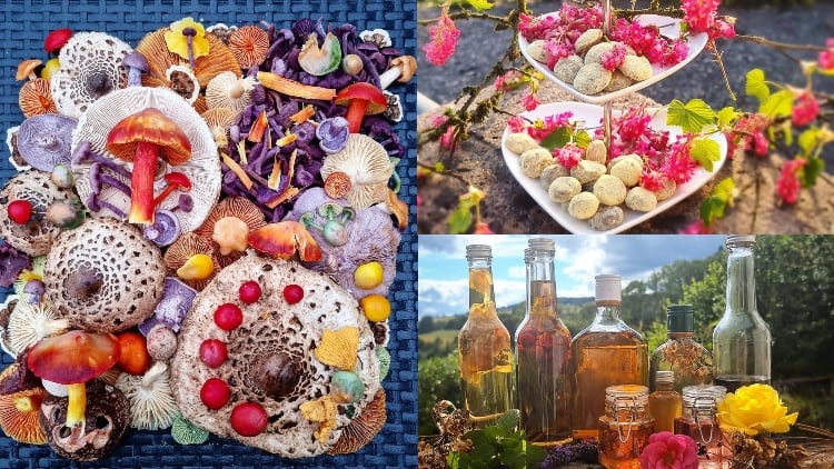 How can foraging for ingredients benefit chefs?