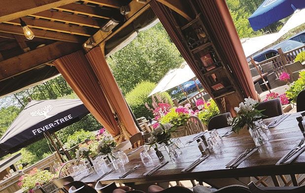 Fever-tree-indoor-outdoor.jpg