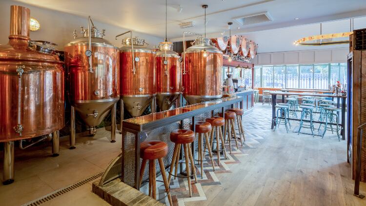 Brew lease of life: how brewpubs can create their own 'talent pipeline'