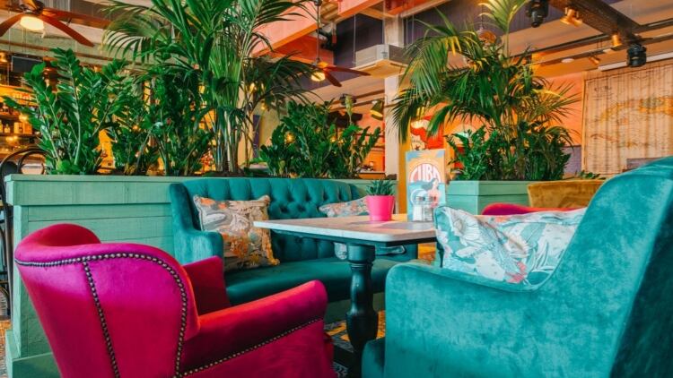 Peach Pubs key to future growth for Revolution