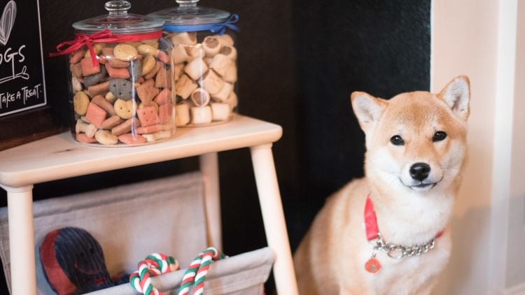 Fuller’s launches Insta competition Pup in a Pub