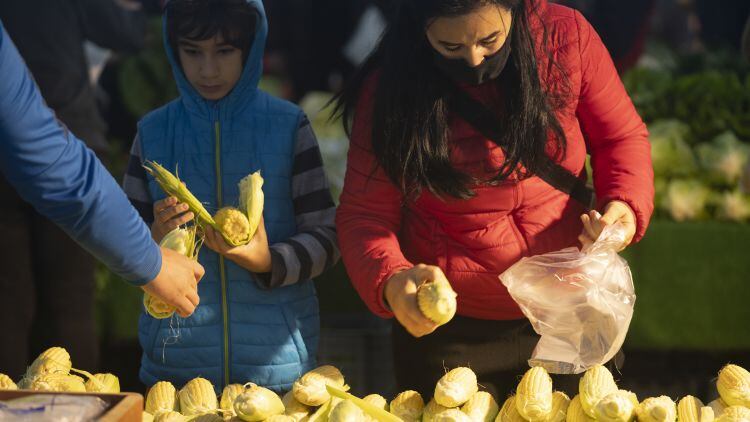 3 in 4 worry about future food costs as inflation bites