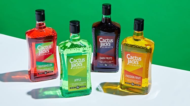 Cactus.jpg