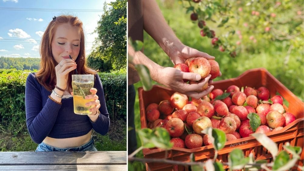 FEATURE: Wave of cider innovation attracting younger market