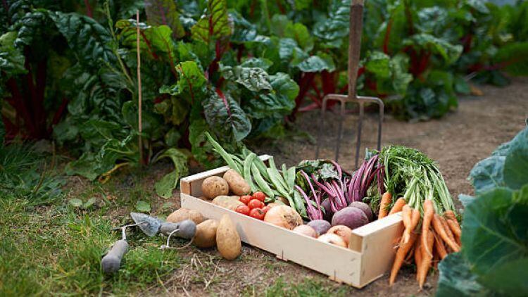 DEFRA-review-into-food-supply-chain-labour-shortages.jpg